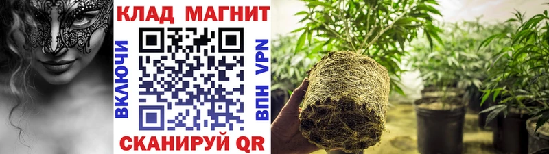 Купить Лодейное Поле Кокаин  А ПВП  ГАШ 