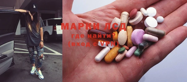 ECSTASY Алзамай