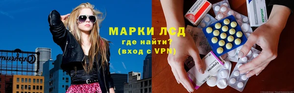 ECSTASY Алзамай