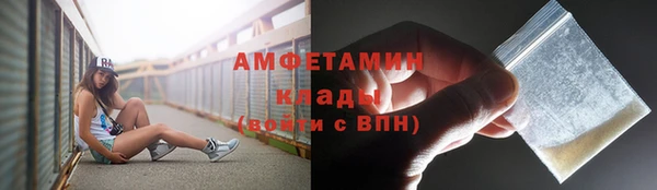 ECSTASY Алзамай