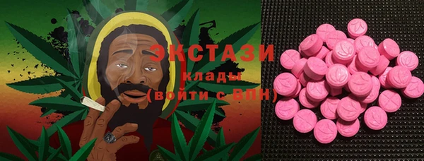 ECSTASY Алзамай
