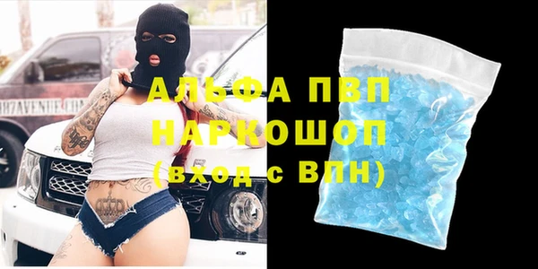 ECSTASY Алзамай
