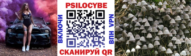 Галлюциногенные грибы мухоморы Лодейное Поле